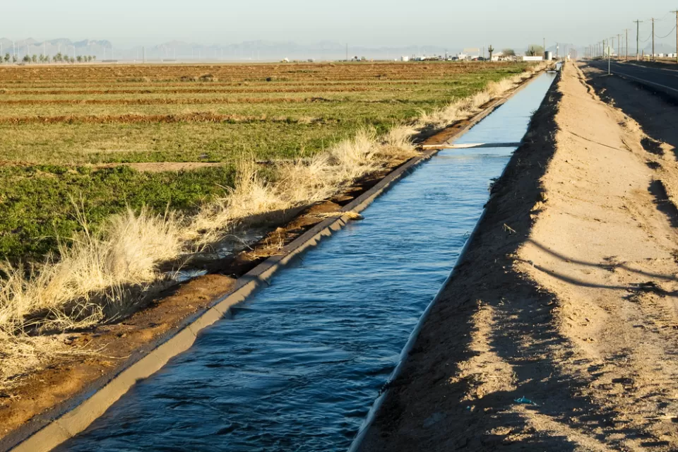 Arizona Agriculture